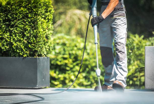 Best Dumpster Area Cleaning  in Alcoa, TN