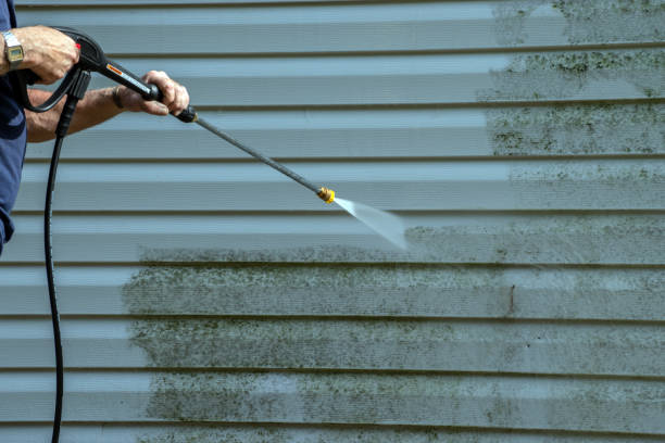Best Sidewalk and Walkway Cleaning  in Alcoa, TN